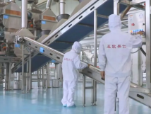 2025年的第一個月，承德亞歐果仁有限公司在山杏產業(yè)的道路上持續(xù)奮進，展現出蓬勃的發(fā)展活力。
